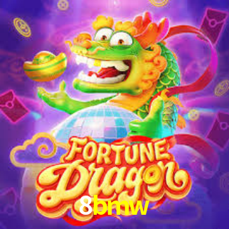 Interface Premium 8bmw